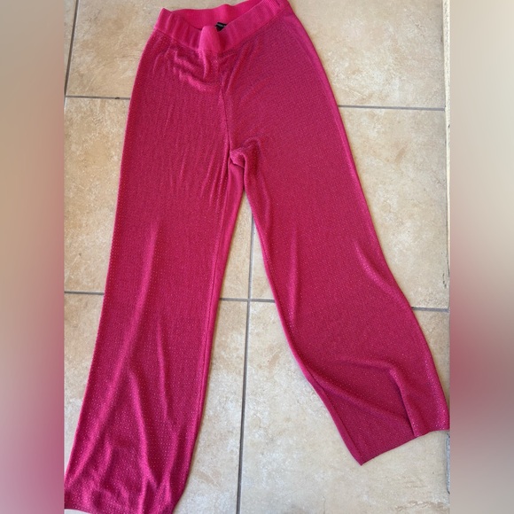 Boston Proper Fuchsia Wide-Leg Rhinestone Pants - Picture 2 of 7